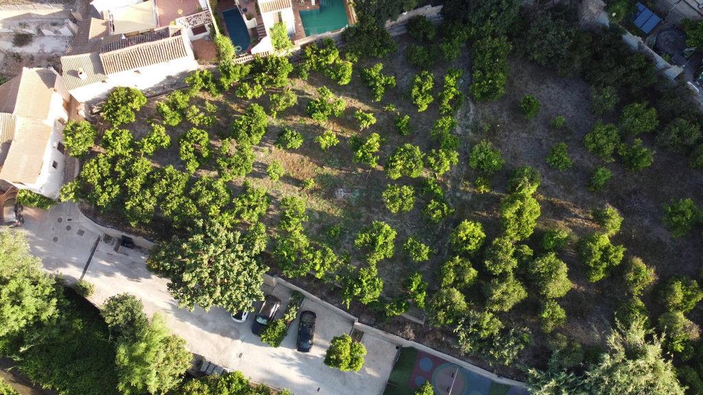 Building Site for Sale in El Valle