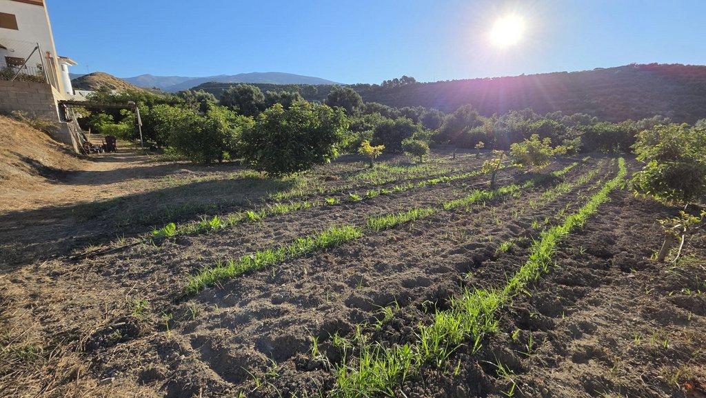 Building Site for Sale in El Valle