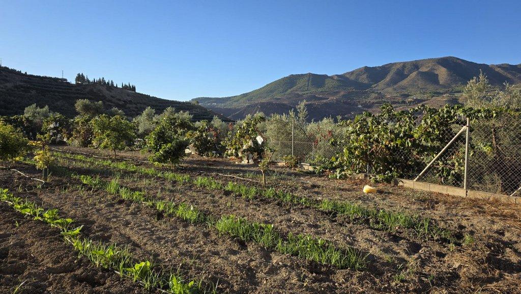 Building Site for Sale in El Valle