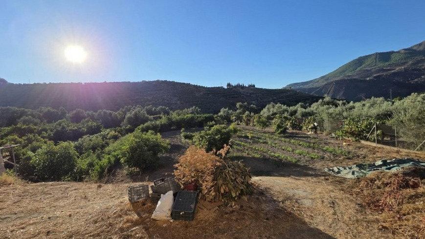 Building Site for Sale in El Valle