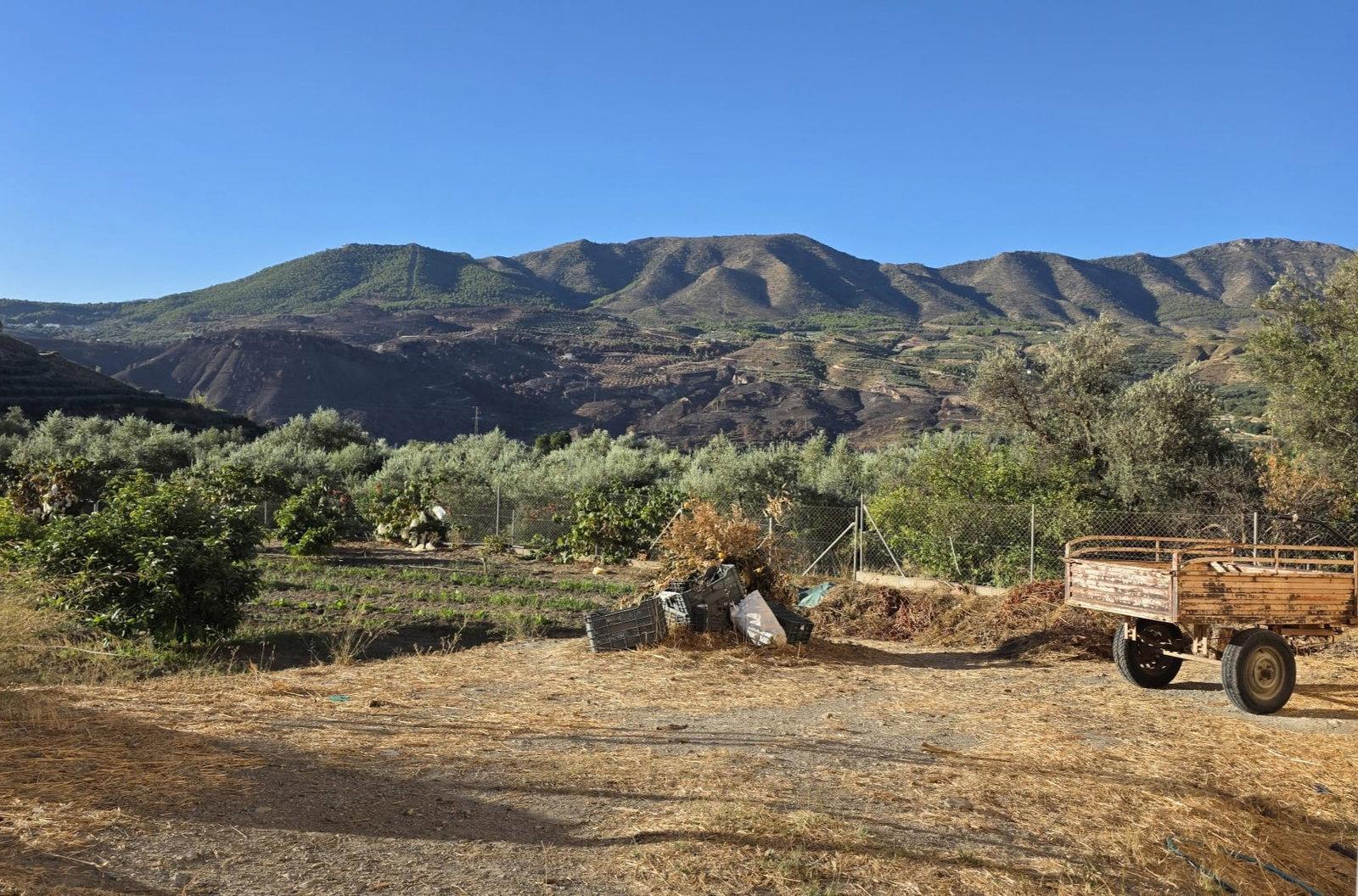 Solar en Venta en El Valle
