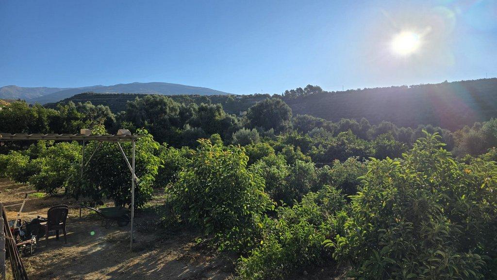 Solar en Venta en El Valle