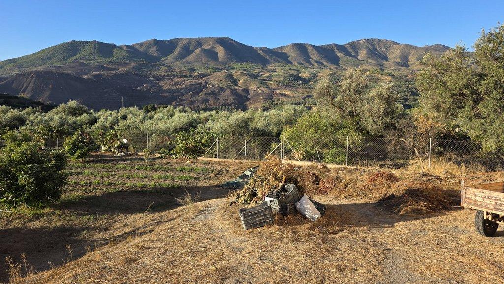Solar en Venta en El Valle