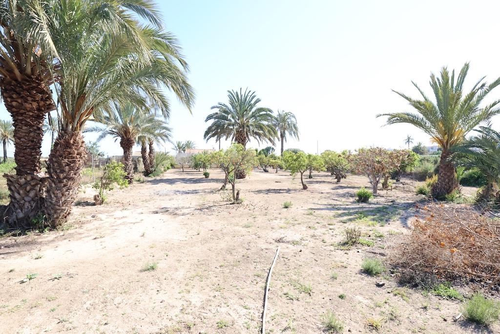 Finca en Venta en Elche