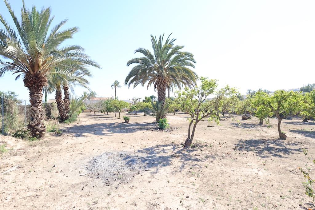 Finca en Venta en Elche