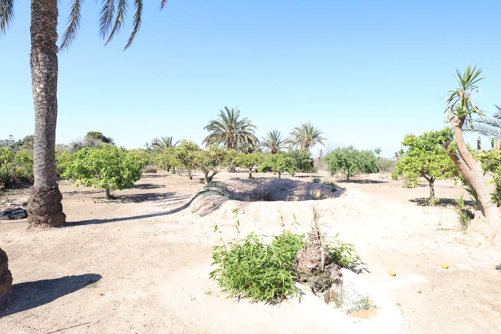 Finca en Venta en Elche