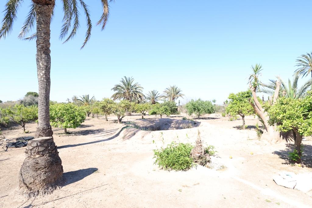 Finca en Venta en Elche