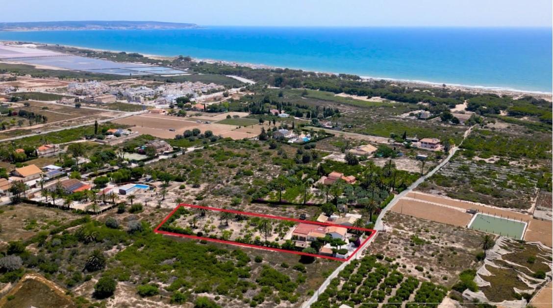 Finca en Venta en Elche