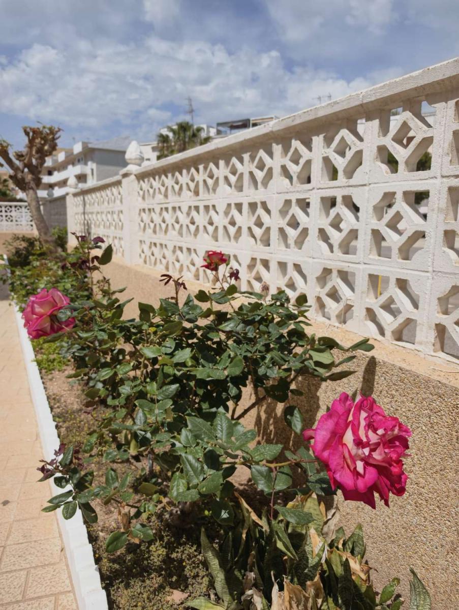 Apartamento en Venta en Torrevieja