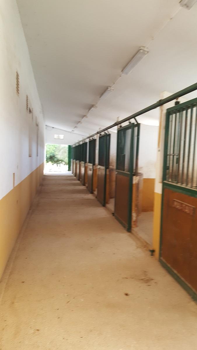 Finca en Venta en Orihuela