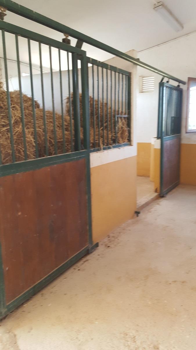 Finca en Venta en Orihuela
