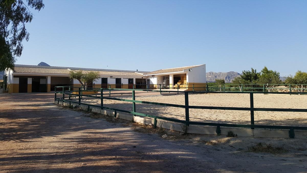 Finca en Venta en Orihuela