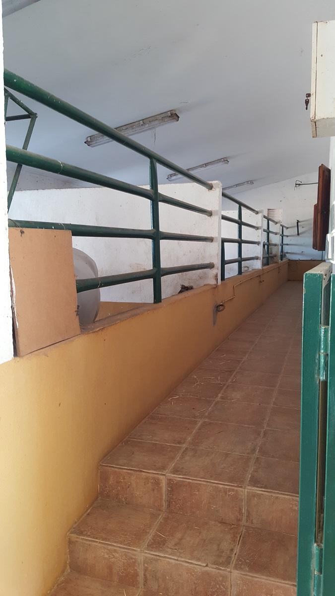 Finca en Venta en Orihuela