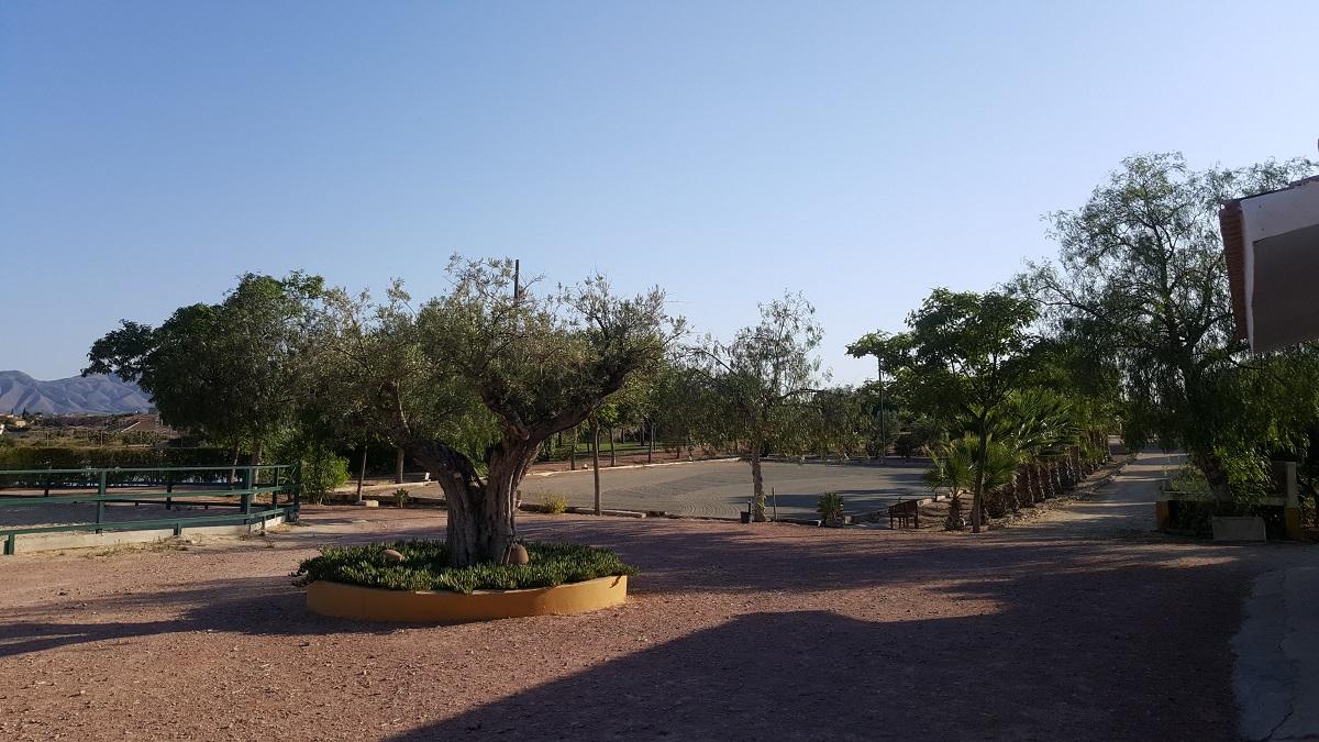 Finca en Venta en Orihuela