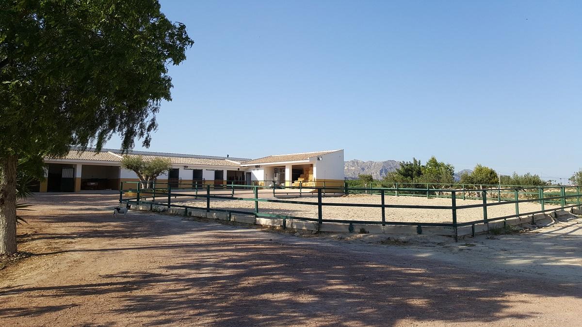 Finca en Venta en Orihuela