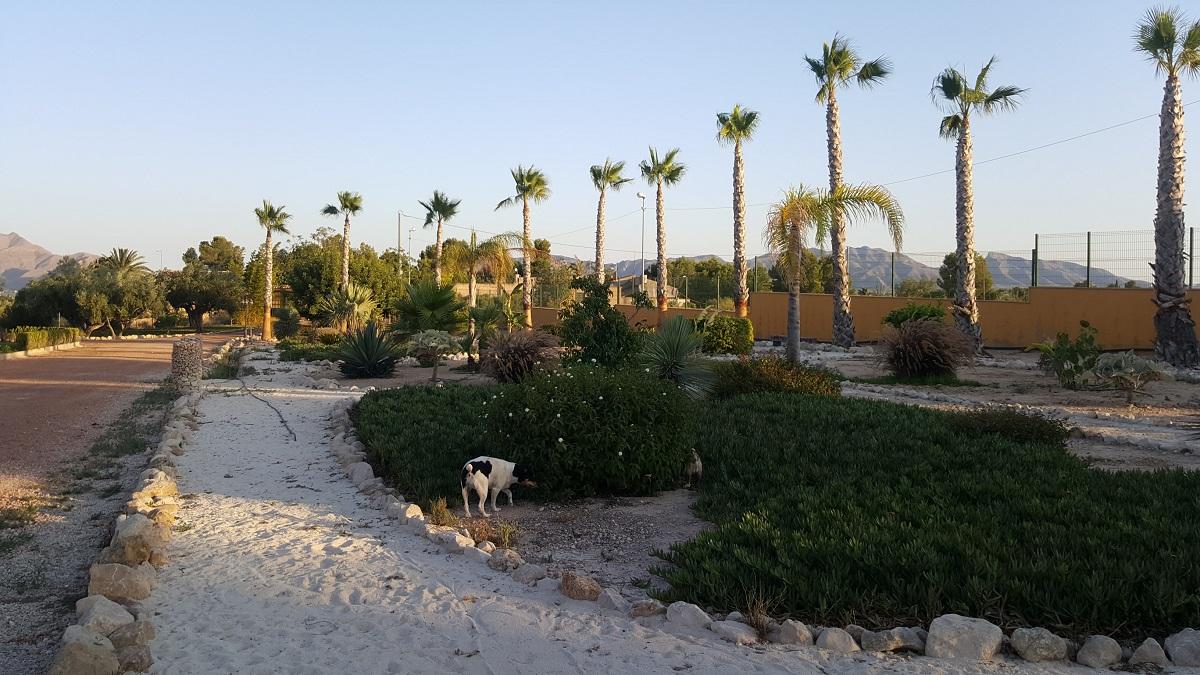 Finca en Venta en Orihuela