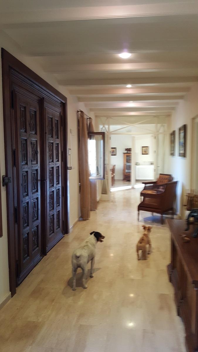 Finca en Venta en Orihuela