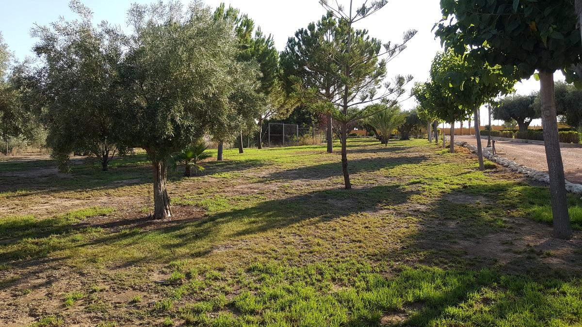 Finca en Venta en Orihuela