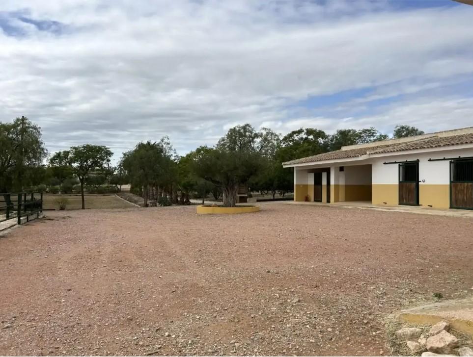 Finca en Venta en Orihuela