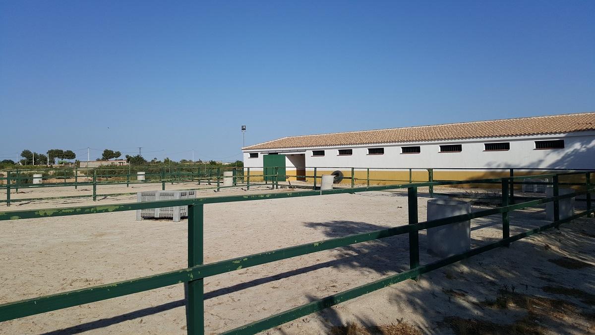 Finca en Venta en Orihuela