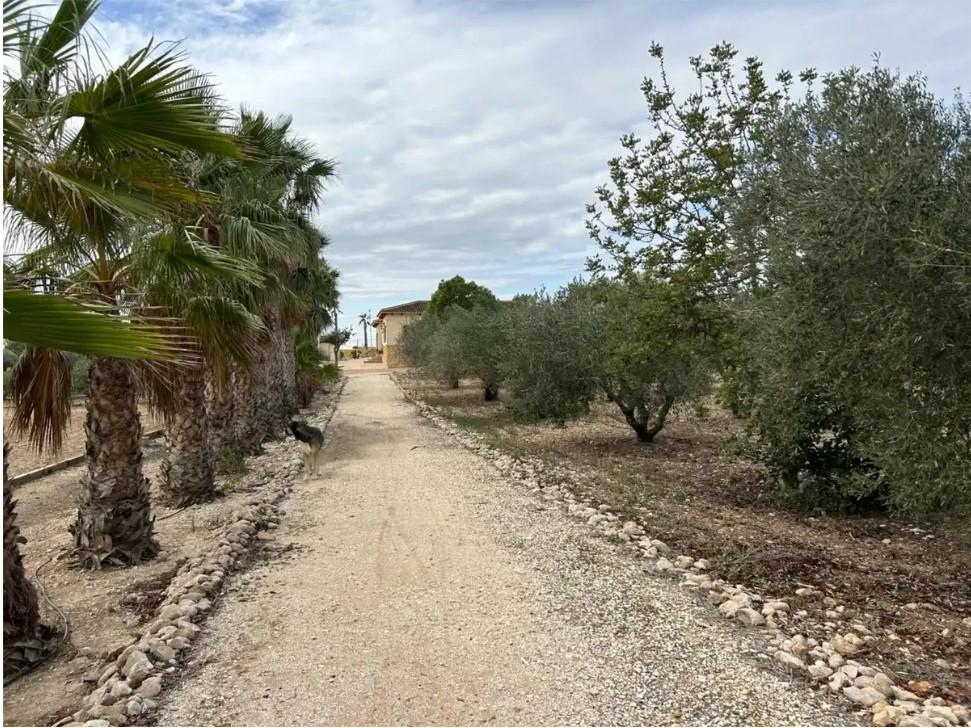 Finca en Venta en Orihuela