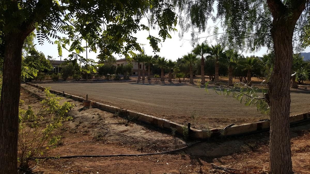Finca en Venta en Orihuela