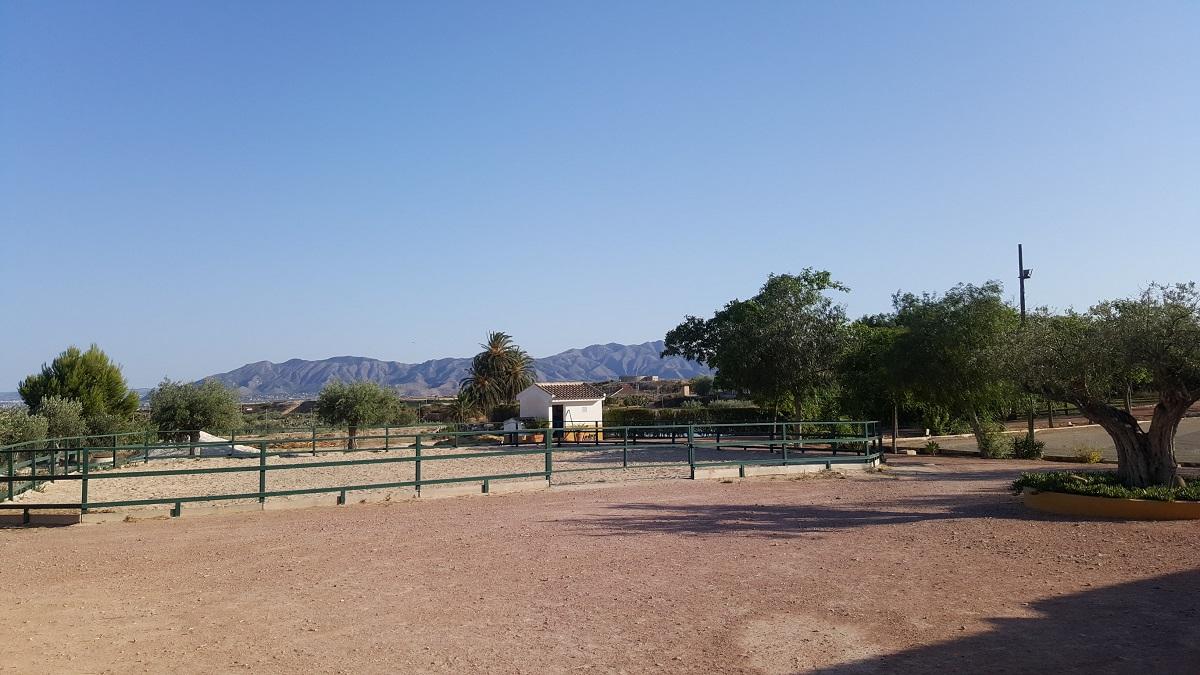 Finca en Venta en Orihuela