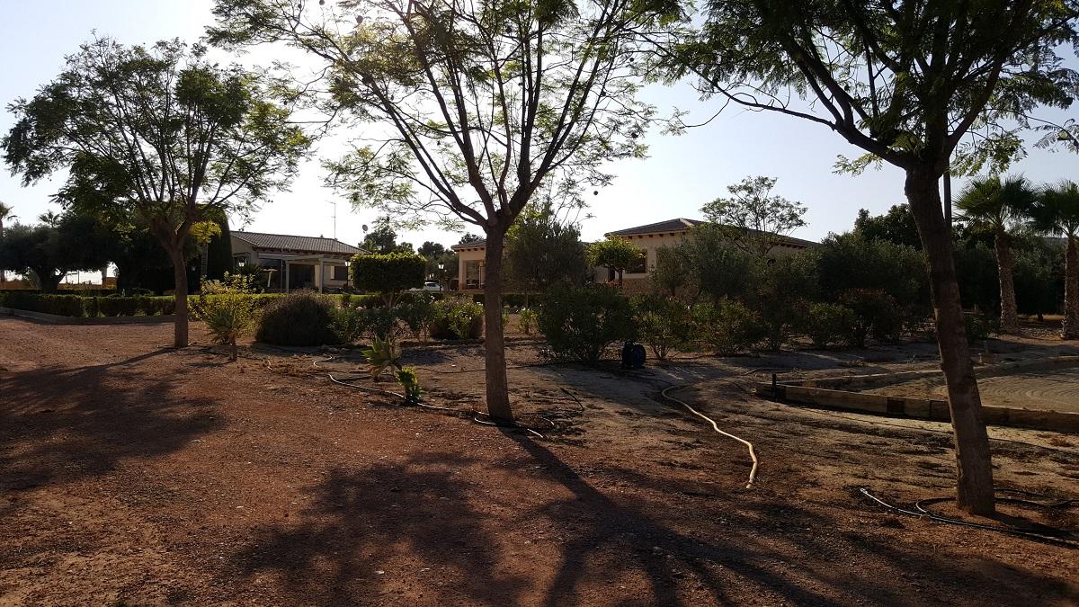 Finca en Venta en Orihuela
