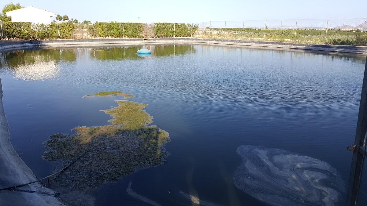 Finca en Venta en Orihuela