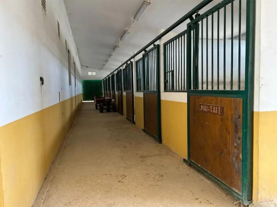 Finca en Venta en Orihuela