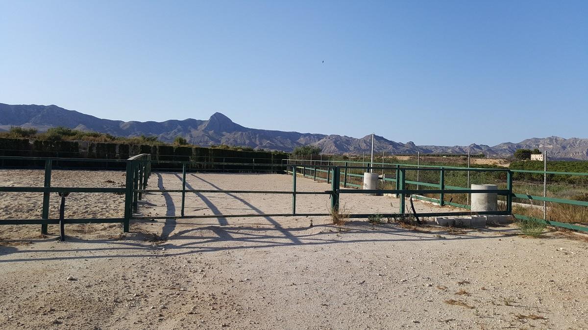 Finca en Venta en Orihuela