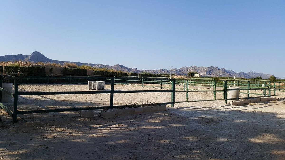 Finca en Venta en Orihuela