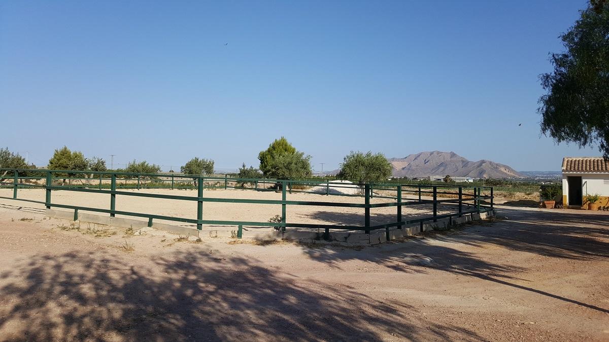 Finca en Venta en Orihuela