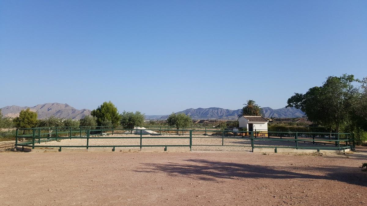 Finca en Venta en Orihuela
