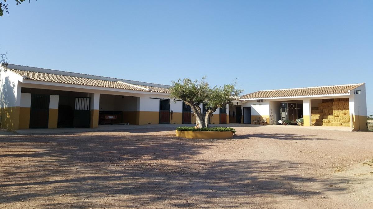 Finca en Venta en Orihuela