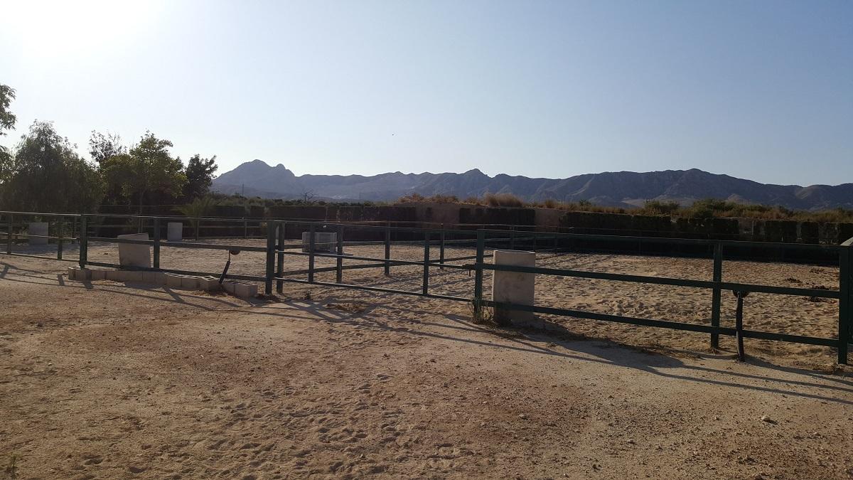Finca en Venta en Orihuela