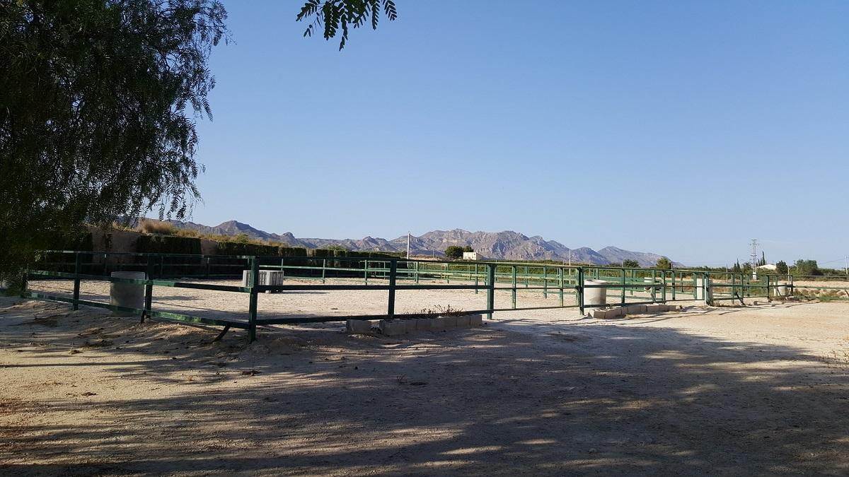 Finca en Venta en Orihuela