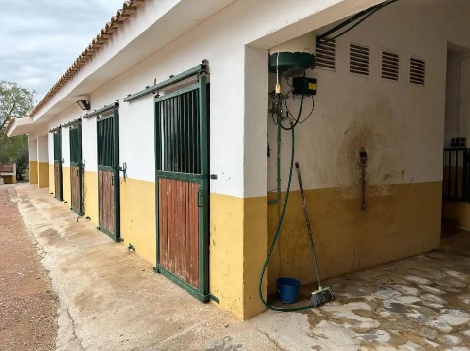 Finca en Venta en Orihuela