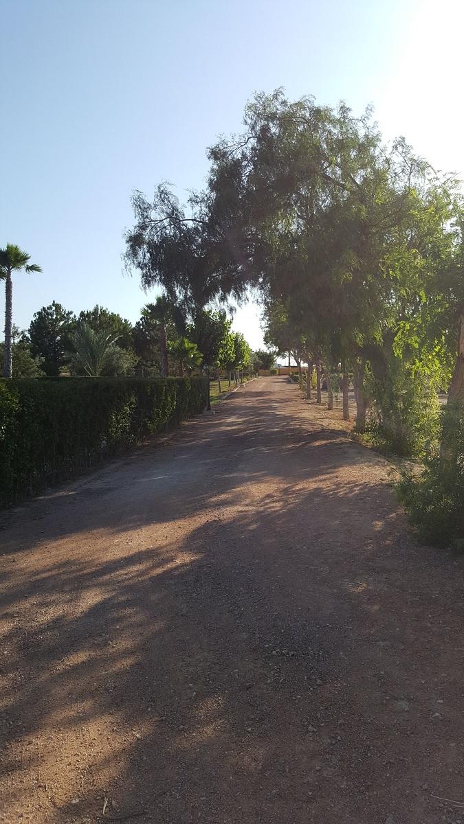 Finca en Venta en Orihuela