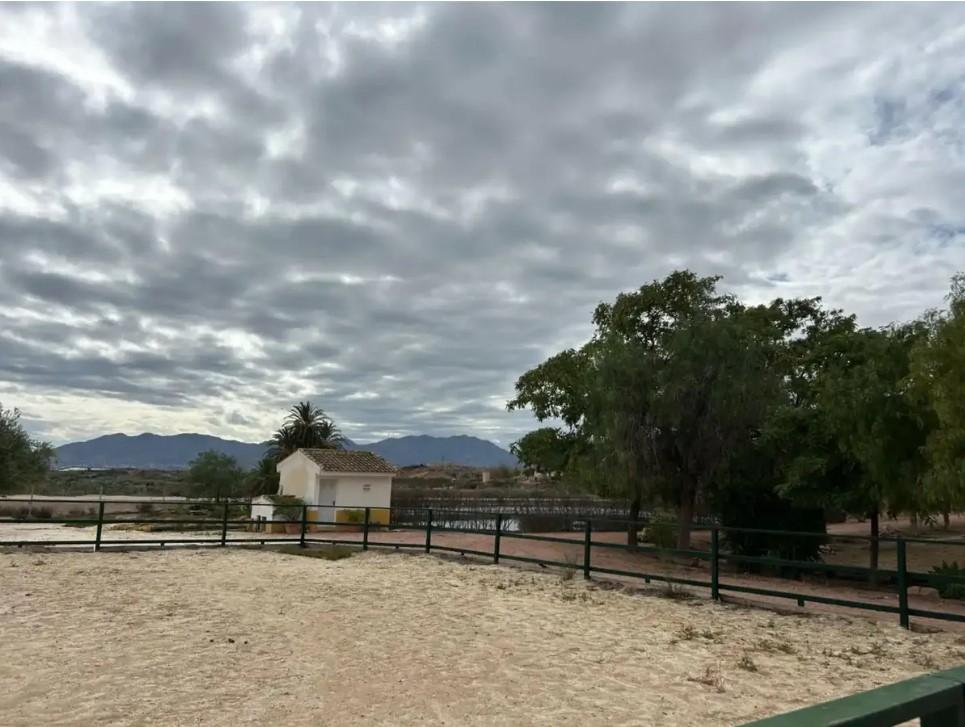 Finca en Venta en Orihuela