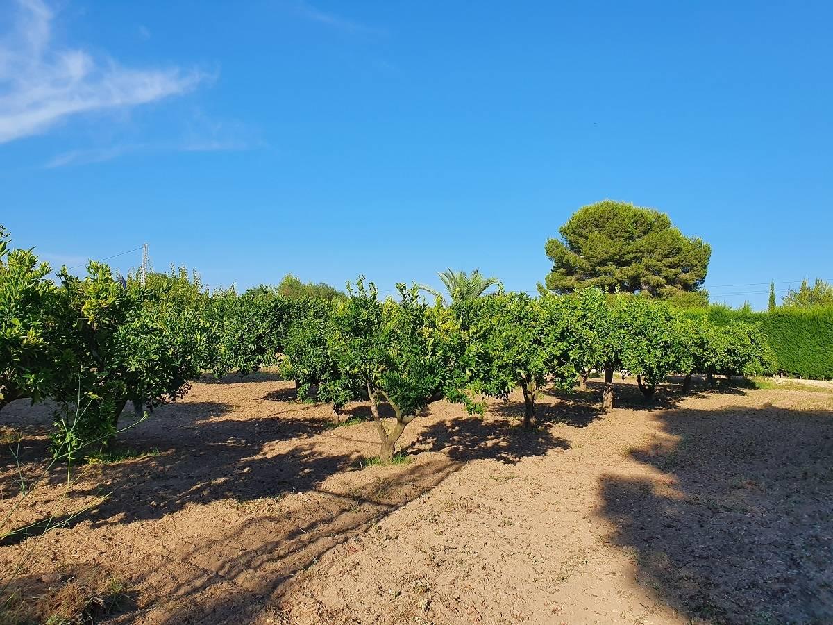 Chalet en Venta en Torrevieja