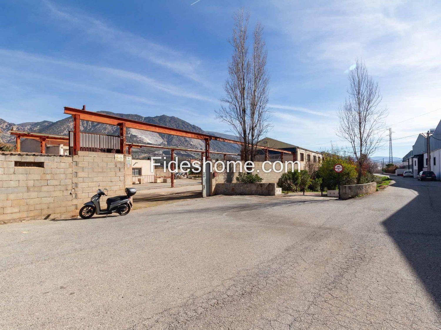 Premise for Sale in Dúrcal