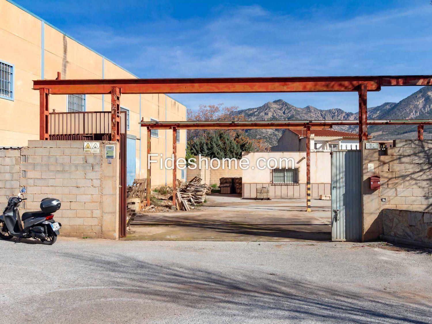Premise for Sale in Dúrcal