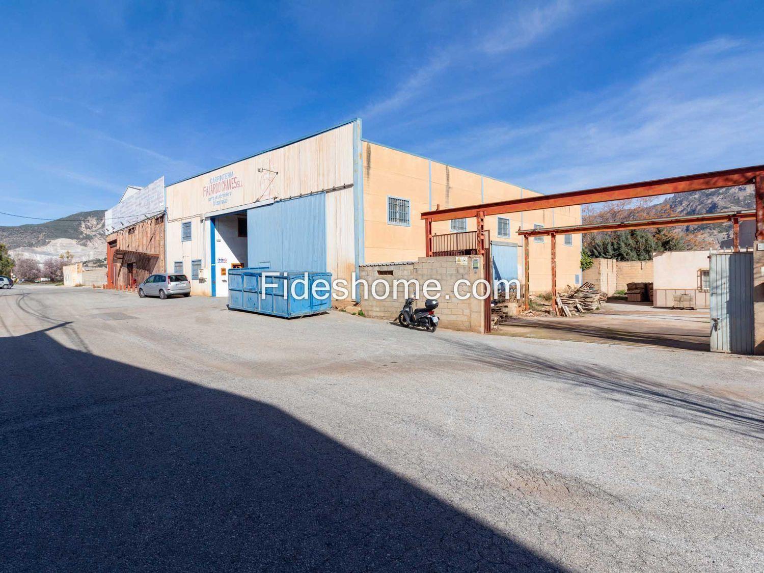 Premise for Sale in Dúrcal