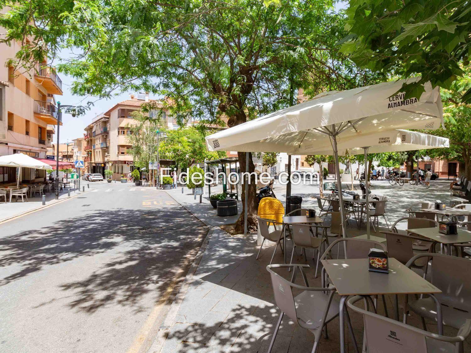 Premise for Sale in Dúrcal