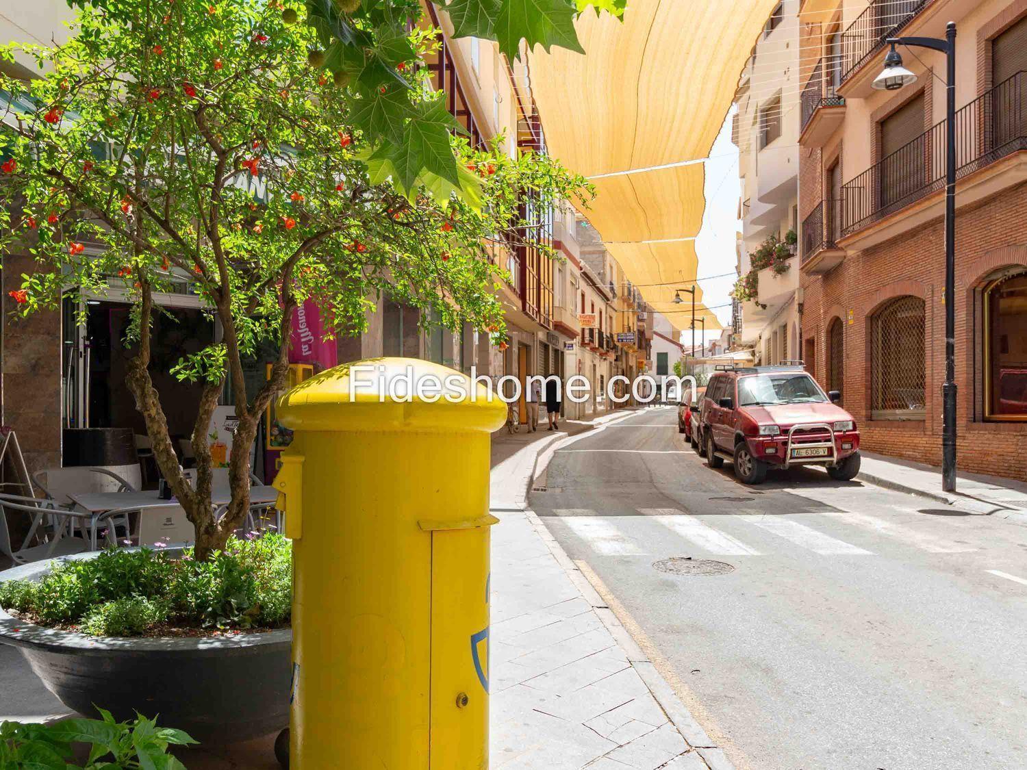 Premise for Sale in Dúrcal