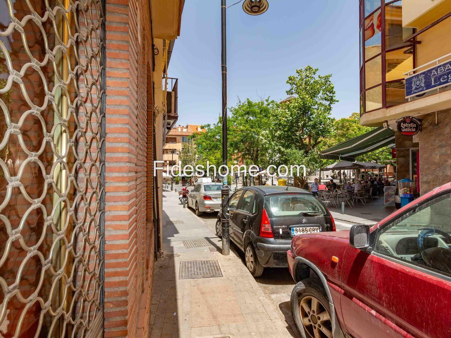 Premise for Sale in Dúrcal