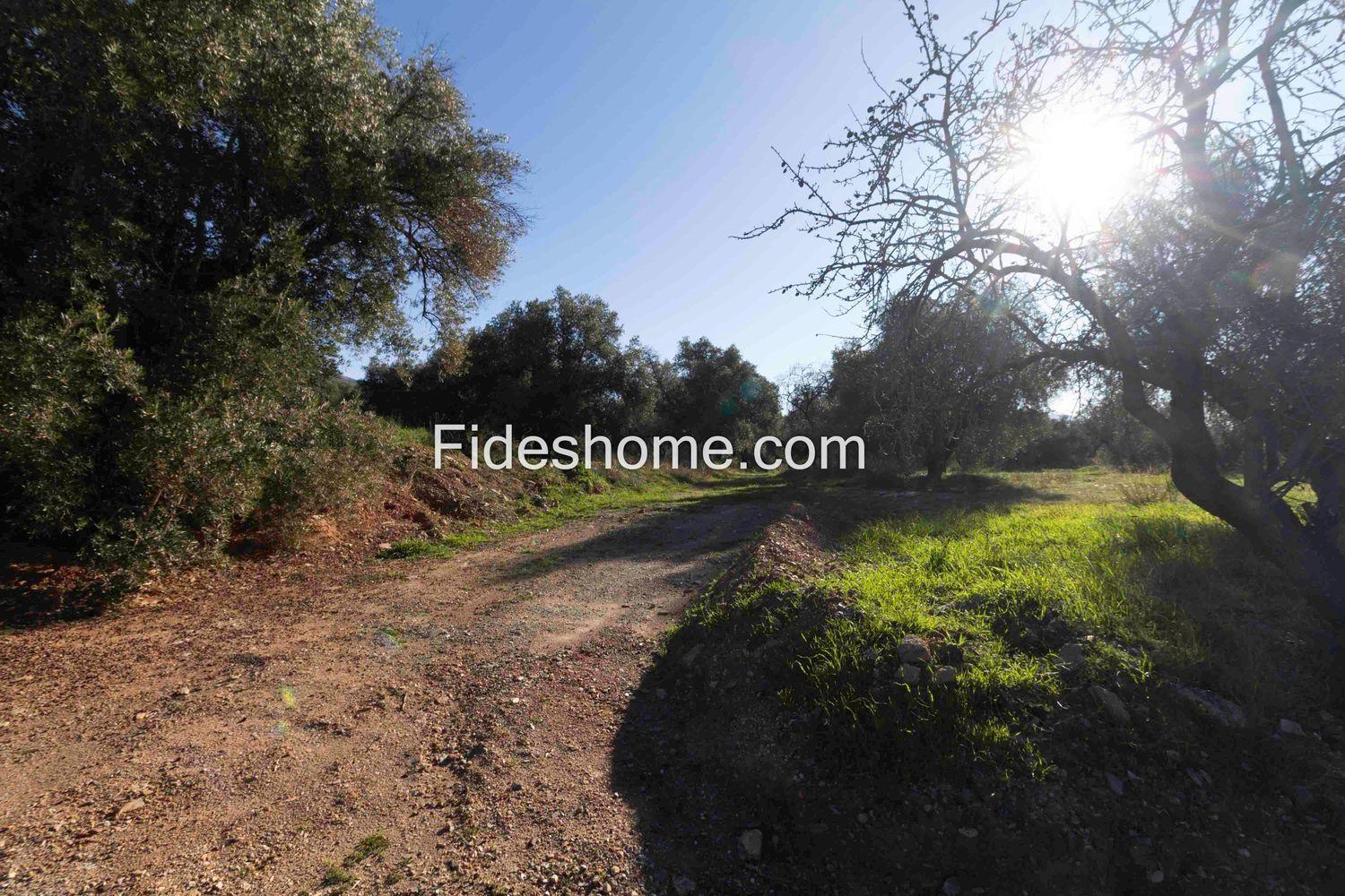 Plot for Sale in Lecrín