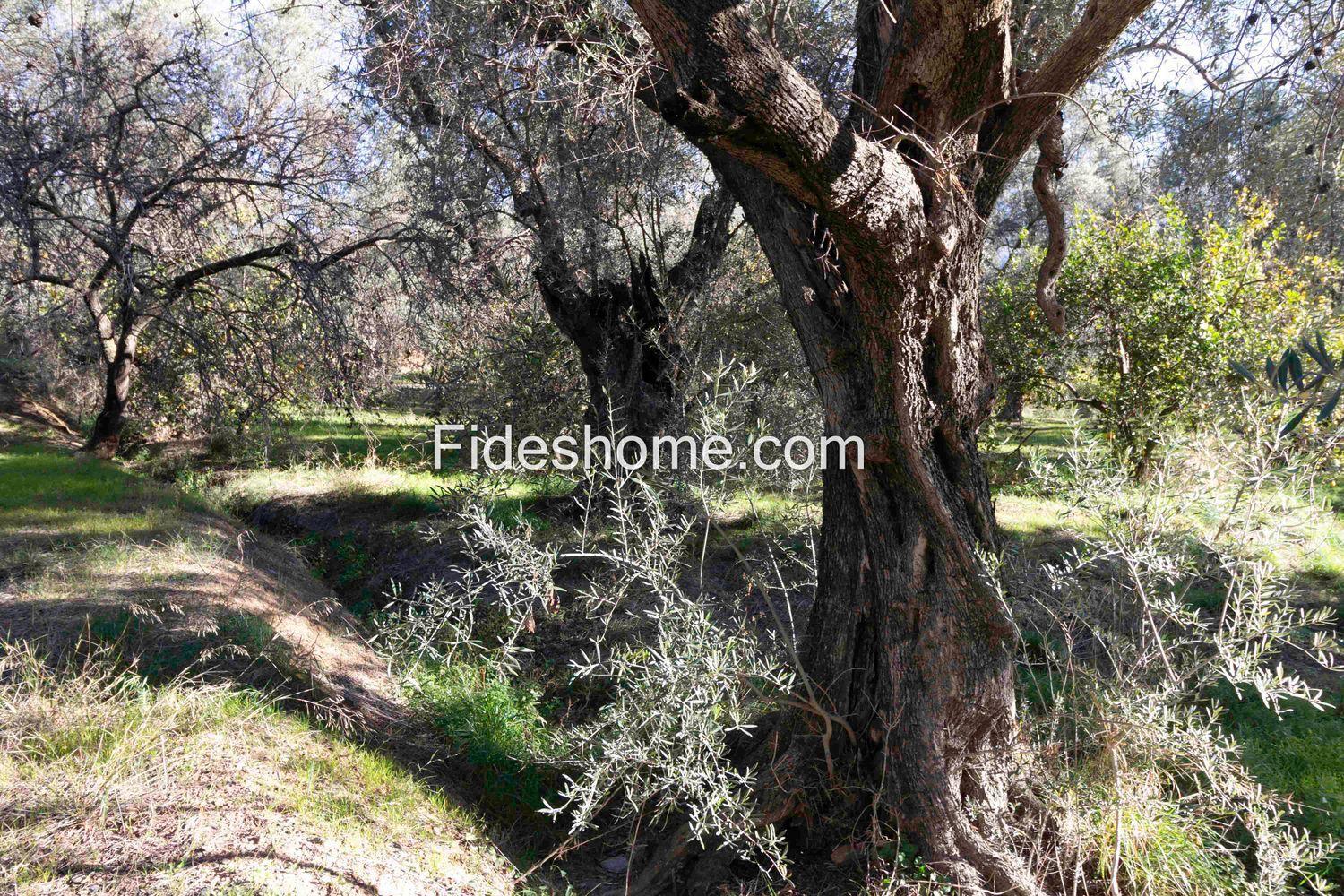 Plot for Sale in Lecrín