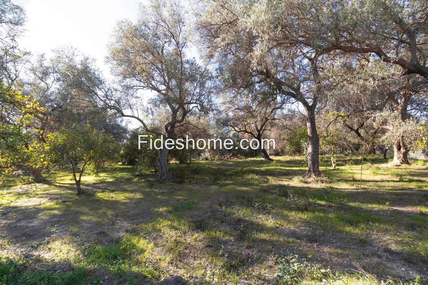 Plot for Sale in Lecrín